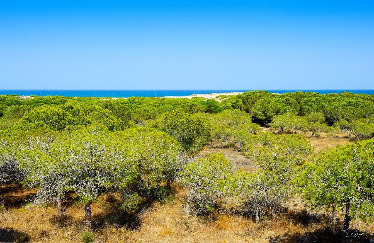 Luxury Pinada Beach Ла-Мата Екстер'єр фото